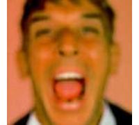 John Cale - Walking on Locusts