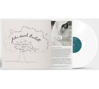 JOHN DAVID BARTLETT - Driftin - Vinyl Record - D600z