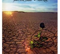John David Souther - Black Rose