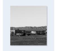 John Divola Dogs Chasing My Car in the Desert /anglais