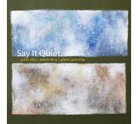 John Ellis, Adam Levy & Glenn Patscha - Say It Quiet
