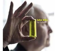 John Ellis - Sly Guitar