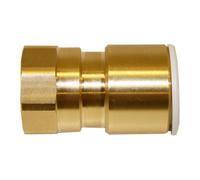 John Guest Brass Coupler 22mm X 3/4" Female in Gold John Guest Gold