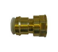 John Guest Brass Cylinder Adaptor 22 x 1" Female in Gold John Guest Gold