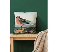 John James Audubon Columbia Jay 55x55cm Cushion Natural