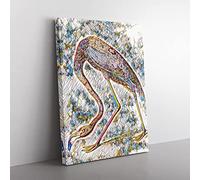 John James Audubon Flamingo Modern Bg Canvas Wall Art Print Ready to Hang, Framed Picture for Living Room Bedroom Home Office Décor, 60x40 cm (24x16 Inch)