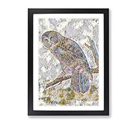 John James Audubon Great Cinereous Owl Modern Bg Framed Wall Art Print, Ready to Hang Picture for Living Room Bedroom Home Office Décor, Black A4 (34 x 25 cm)