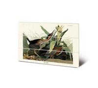 John James Audubon Green Heron Wood Print Green/brown (20Cm X 29.5Cm)