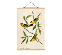 John James Audubon Poster No 116 eicie SINGLE PIECES - 4052115044154