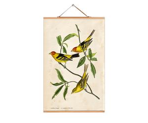 John James Audubon Poster No 116 eicie SINGLE PIECES - 4052115044154