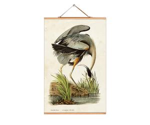 John James Audubon Poster No 69 eicie SINGLE PIECES - 4052115043683