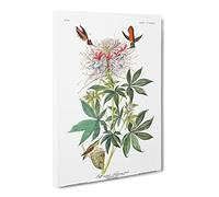 John James Audubon Ruff Necked Humming Bird Canvas Print | Gallery Wrapped 30mm Frame Wall Art | 30x20 inches | Ready to Hang | Modern Animals Picture | Living Room Bedroom Lounge Office