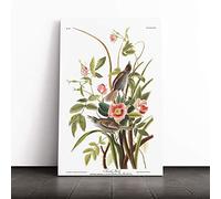 John James Audubon Sea Side Finch Canvas Print | Gallery Wrapped 30mm Frame Wall Art | 24x16 inches | Ready to Hang | Modern Seascape Picture | Living Room Bedroom Lounge Office