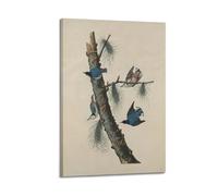 John James Audubon White Breasted Black Crested Uthatch Classic Works Posters Canvas Wall Art Prints Photo Picture Paintings Room Decor Home Decorative 16x24inch(40x60cm)