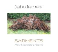 John James Sarments: New & Selected Poems Paperback Book John James Multicolor
