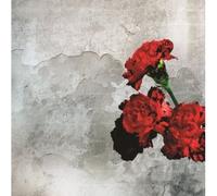 John Legend - Love In The Future (CD+DVD Asian Tour Edition)