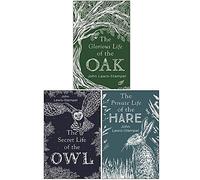 John Lewis-Stempel Collection 3 Books Set (The Glorious Life of the Oak, The Secret Life of the Owl, The Private Life of the Hare)