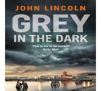 John Lincoln Grey in the Dark Paperback Book John Lincoln Multicolor