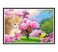 John Mayer - John Mayer - Any Given Thursday [DVD]