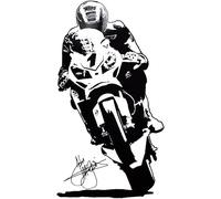John McGuinness IOMTT TT Legend road racing vinyl decal