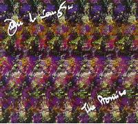 John McLaughlin The Promise (CD) (US IMPORT)