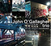 John O'Gallagher Trio - Live in Brooklyn