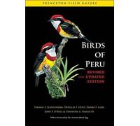 John P. O'Neill Thomas S. Schulenberg Theo Birds of Peru (Paperback) (US IMPORT)