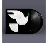 John Patitucci Spirit Fall (Vinyl) 12" Album (US IMPORT)