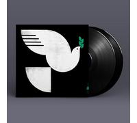 John Patitucci - Spirit Fall [VINYL]