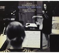 John Vanderslice - White Wilderness
