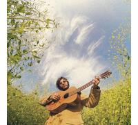 John Vincent III - Songs For The Canyon [VINYL]