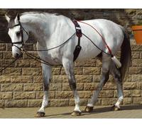 John Whitaker Complete Training Horses System with Roller