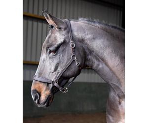 John Whitaker International Headcollar Leather Ready To Ride - Black - Xfull