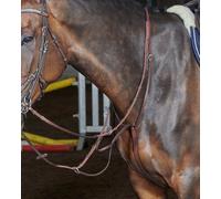 John Whitaker International Martingale Barton - Havana - Cob