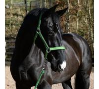 John Whitaker Pockley Headcollar, Everyday Horse Halter (Green, Full)