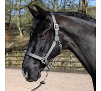 John Whitaker Pockley Headcollar, Everyday Horse Halter (Grey, Cob)