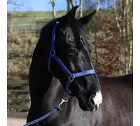 John Whitaker Pockley Headcollar, Everyday Horse Halter (Royal, Full)