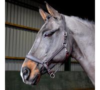 John Whitaker Ready to Ride Leather Headcollar Brown Pony