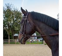 John Whitaker Ready to Ride Snaffle Bridle - Pony · Brown