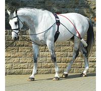 John Whitaker See Description John Whitaker System, Blue, One Size UK