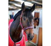 John Whitaker See Description Padded Fleece Headcollar Red/, Red, Cob EU