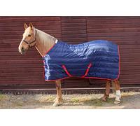 John Whitaker Thomas Stable Rug - Navy Blue/Red, 6.9 ft
