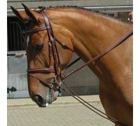 John Whitaker Training Rein - Brown