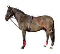 John Whitaker Training System - One Size