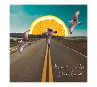 Johnny Borrell - My World, Your Life