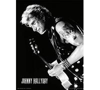 Johnny Hallyday (Lone Wolf 30 x 40cm Art Print