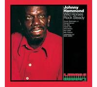 Johnny Hammond - Wild Horse Rock Steady