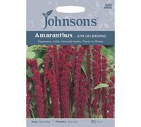 Johnsons Amaranthus Love Lies Bleeding Flower Seeds