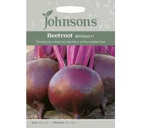 Johnsons Beetroot Bettollo F1 Seeds