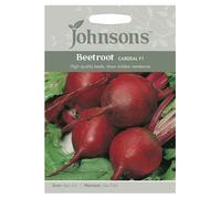 Johnsons Beetroot Cardeal F1 Seeds